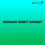 Сколько живут клещи?